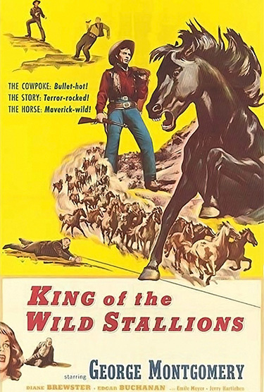 King Of The Wild Stallions